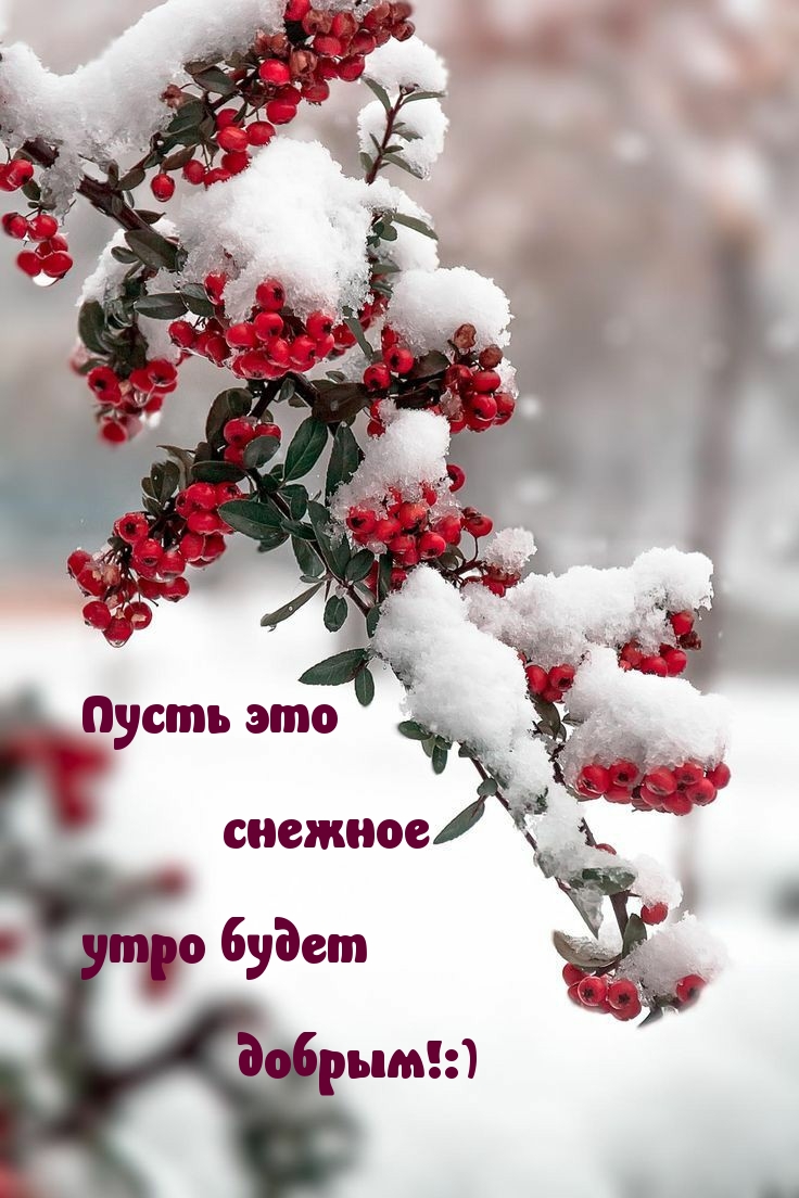Пусть это снежное утро будет добрым!:)