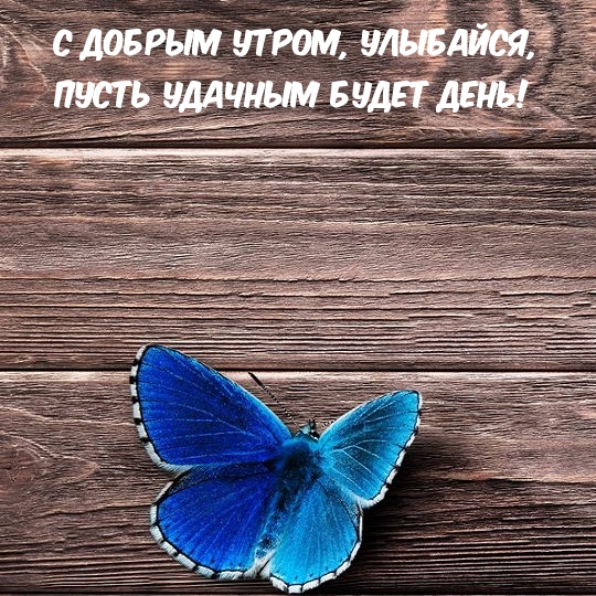 С добрым утром, улыбайся, Пусть удачным будет день!