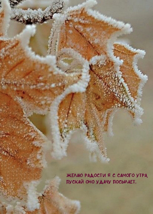 Желаю радости я с самого утра!