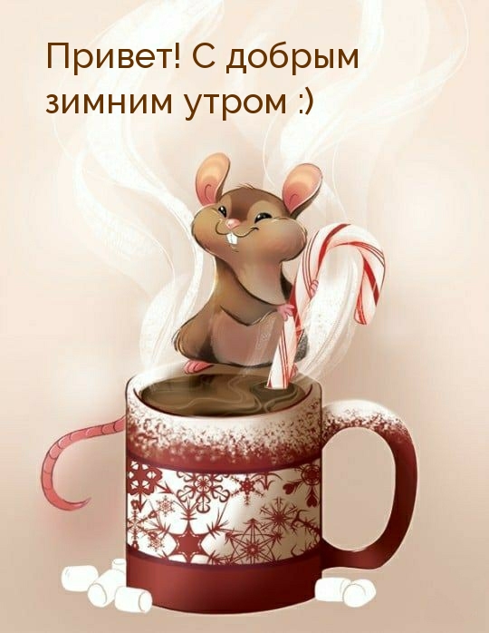 Привет! С добрым зимним утром :)