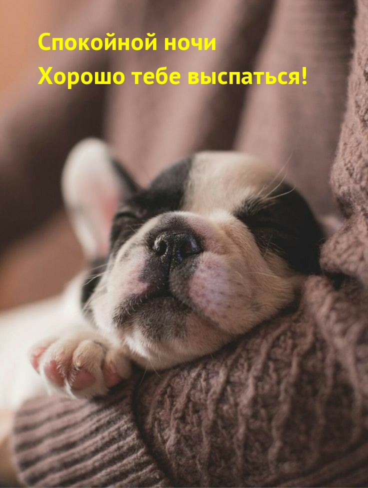 Спокойной ночи! Хорошо тебе выспаться!