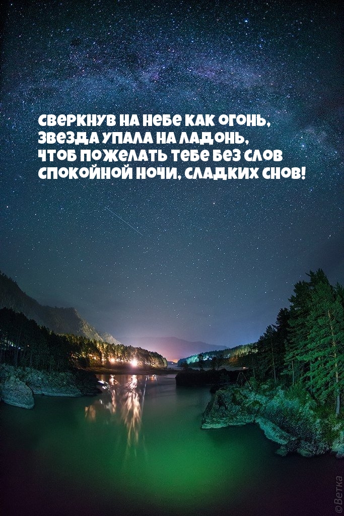 Спокойной ночи, сладких снов! Стих