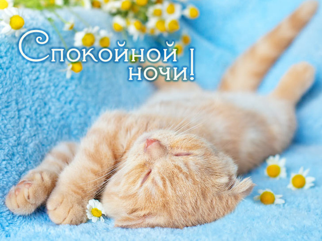 Спокойной ночи!