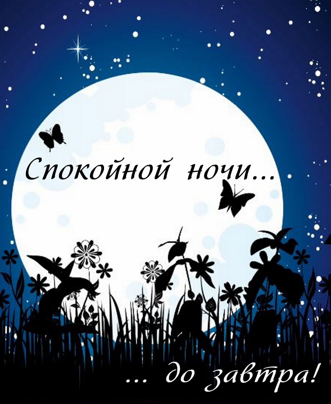 Спокойной ночи… до завтра!