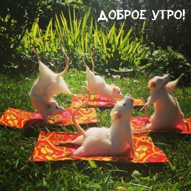 Доброе утро!