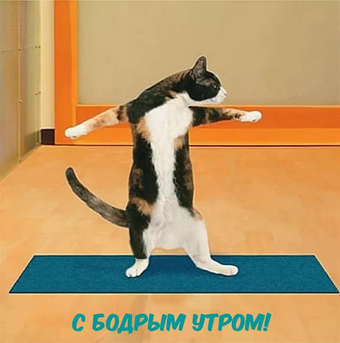 С бодрым утром!