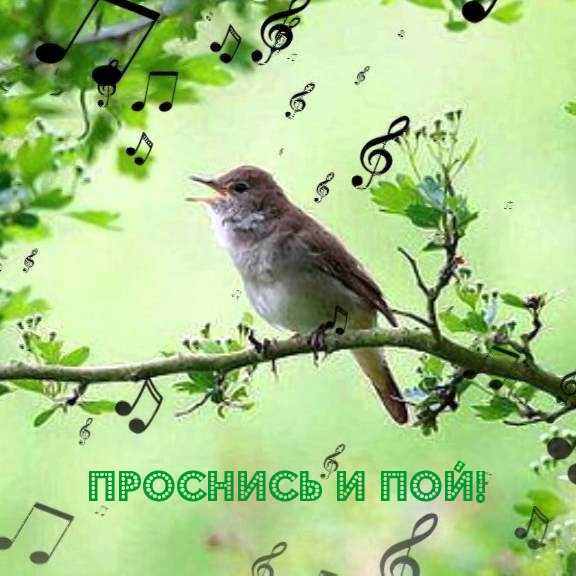 Проснись и пой!