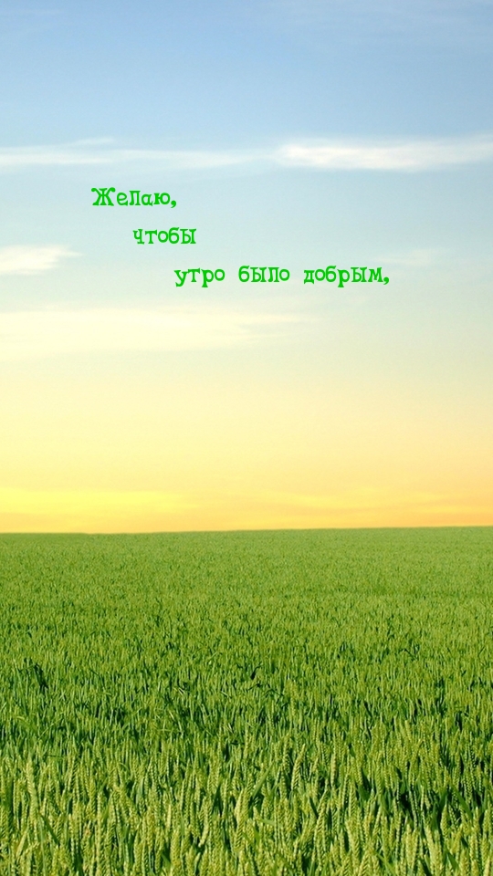 Желаю, чтобы утро было добрым,