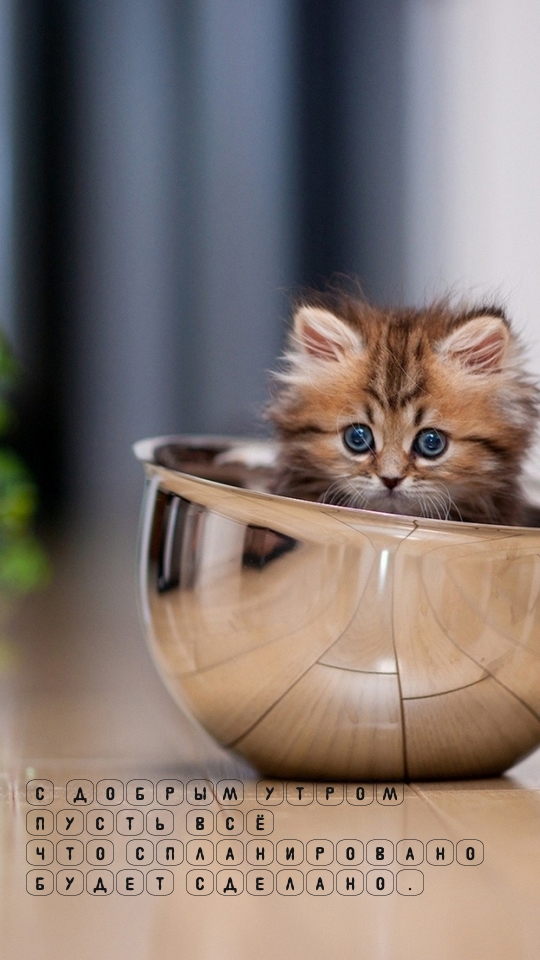 С добрым утром  пусть всё   что спланировано  будет сделано.