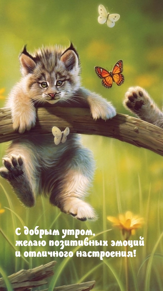 С добрым утром, позитивных эмоций  и отличного настроения!