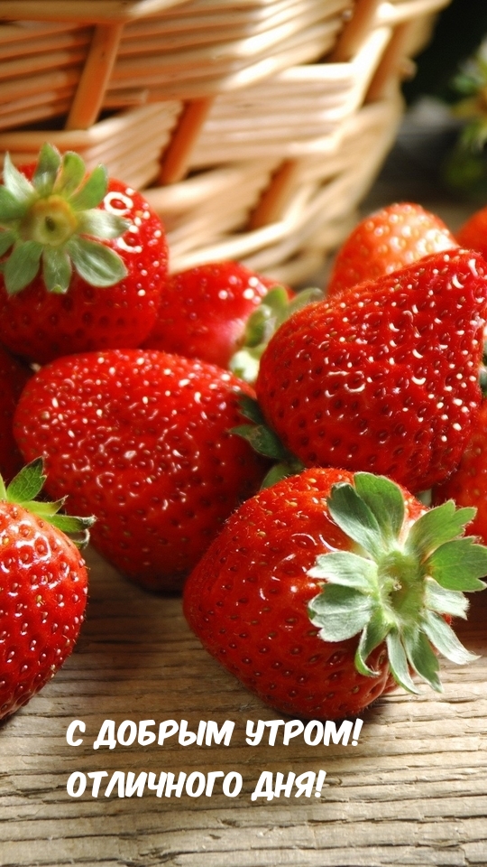 С добрым утром! Отличного дня!