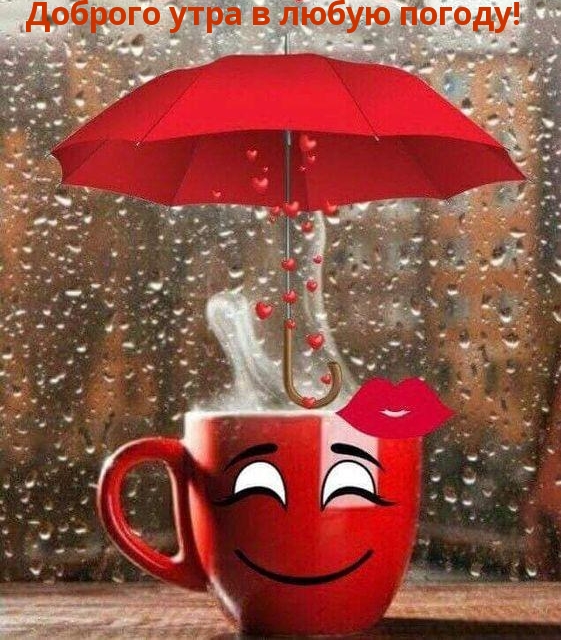 Доброго утра в любую погоду!