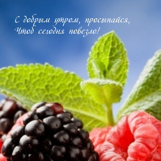 С добрым утром, просыпайся, Чтоб сегодня повезло!