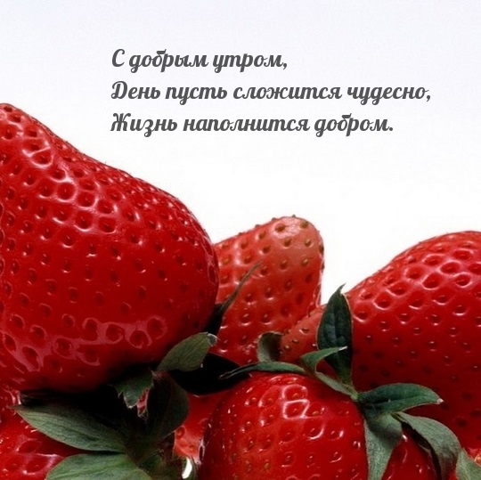День пусть сложится чудесно! С добрым утром