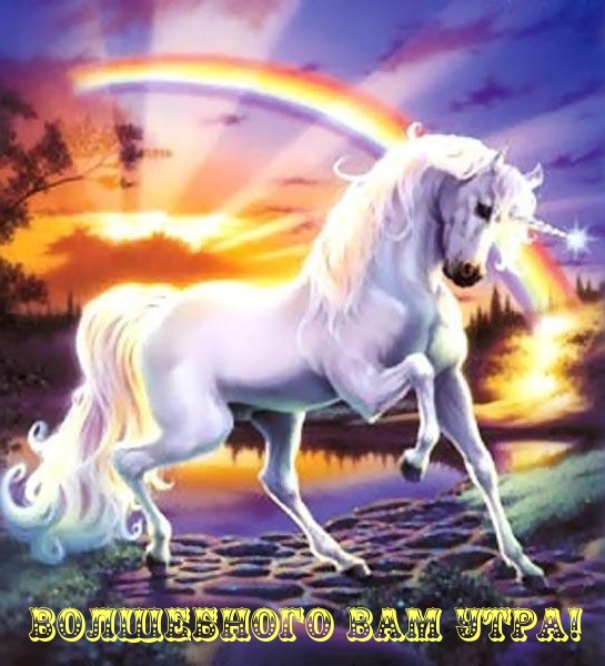 Волшебного вам утра!