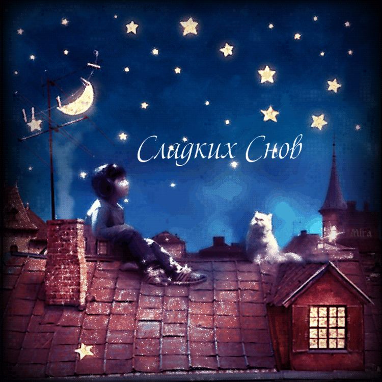 Сладких снов!