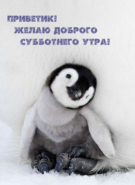 Приветик! Желаю доброго Субботнего утра!