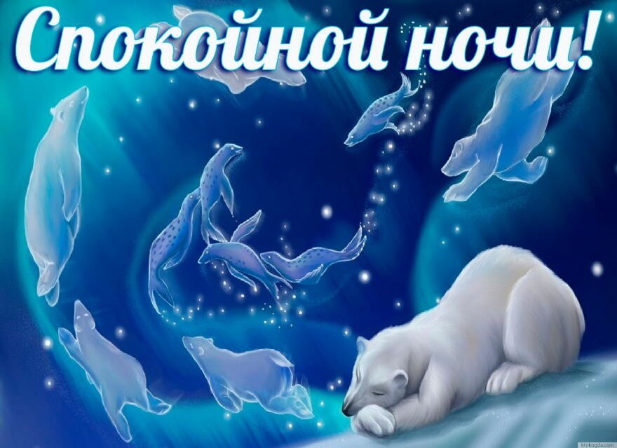 Спокойной ночи!