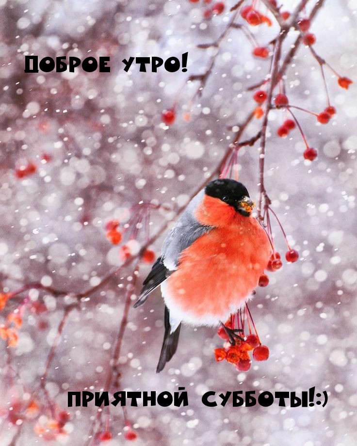 Доброе утро! Приятной субботы!:)
