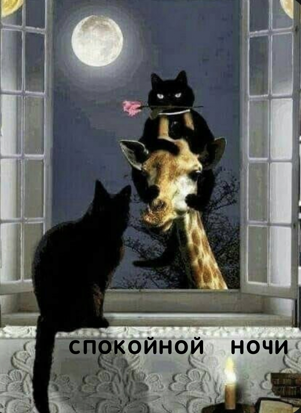 СПОКОЙНОЙ НОЧИ