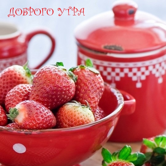ДОБРОГО УТРА