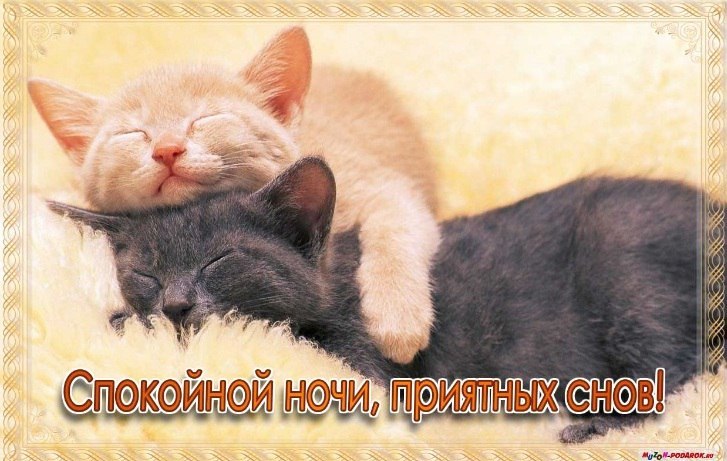 Спокойной ночи, приятных снов!