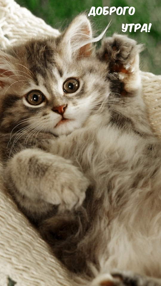 доброго утра!