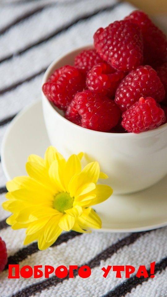 Доброго утра!