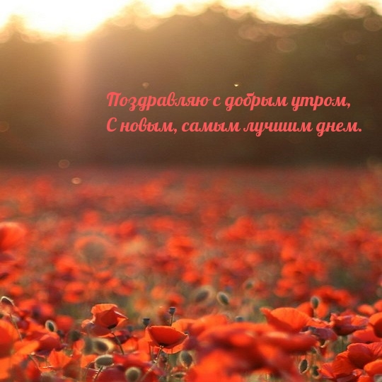 С новым, самым лучшим днем.