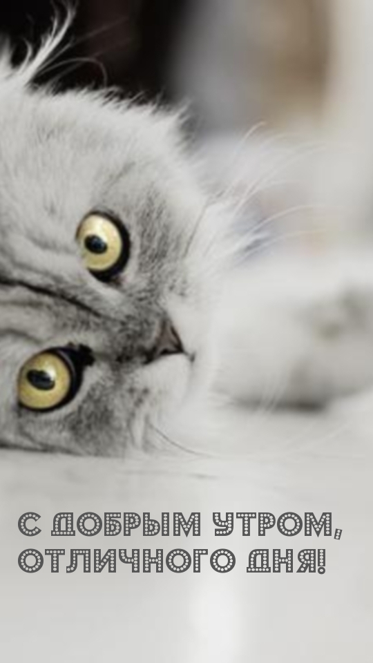 С добрым утром, Отличного дня!