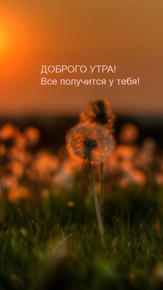 ДОБРОГО УТРА! Все получится у тебя!