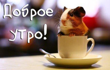 Доброе утро!
