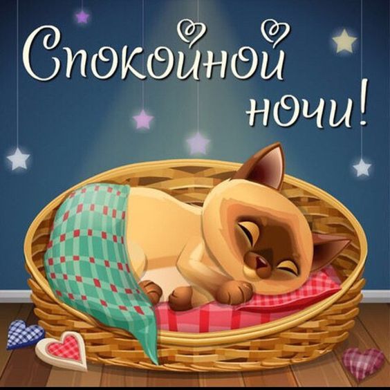 Спокойной ночи! Котик