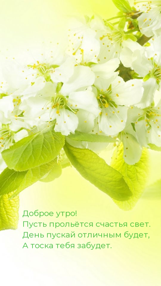 Пусть прольётся счастья свет. День пускай отличным будет