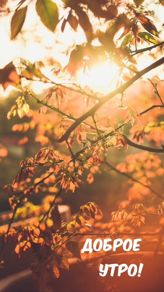 Доброе утро!