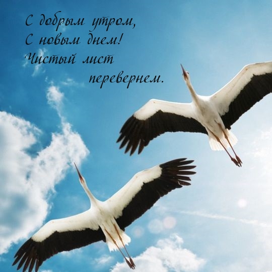 С новым днем! Чистый лист перевернем