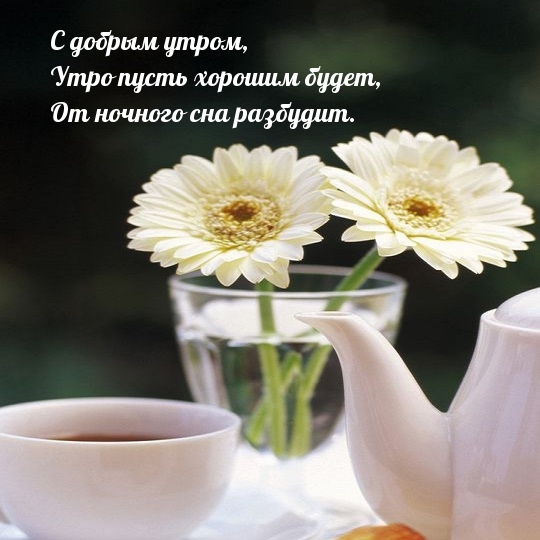 Утро пусть хорошим будет!