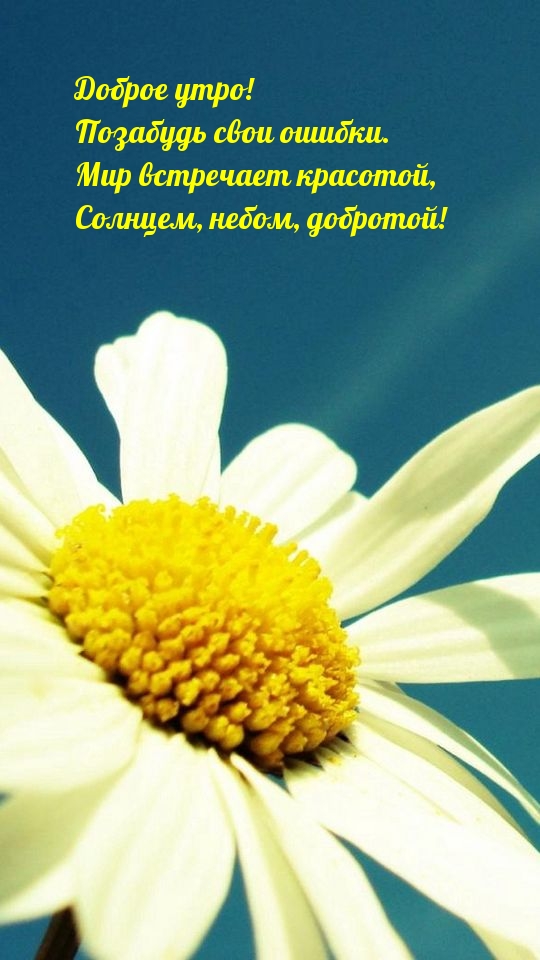 Мир встречает красотой, Солнцем, небом, добротой!