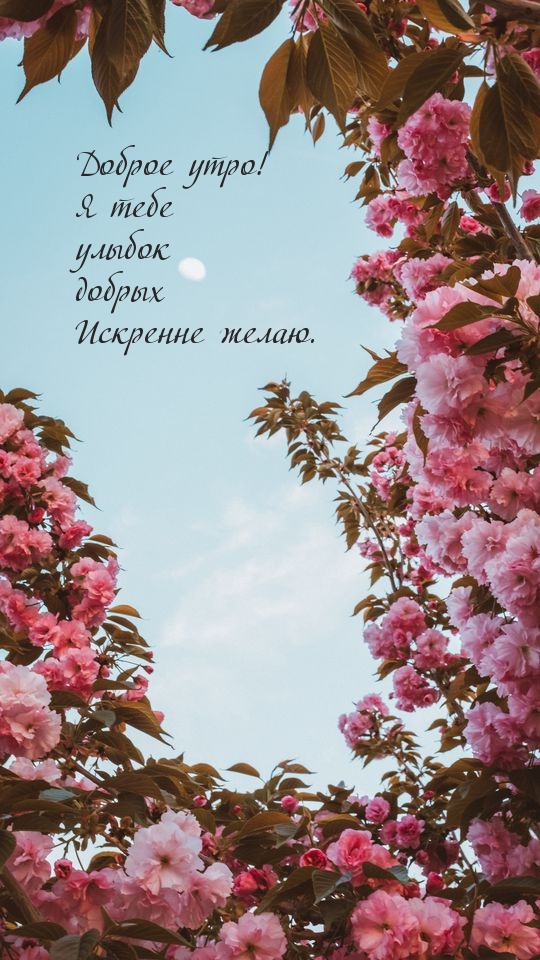 Доброе утро! Я тебе улыбок добрых Искренне желаю.