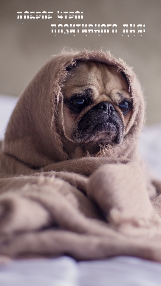 Доброе утро! Позитивного дня!