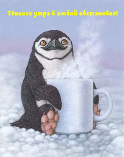 Тёплого утра в любой обстановке!