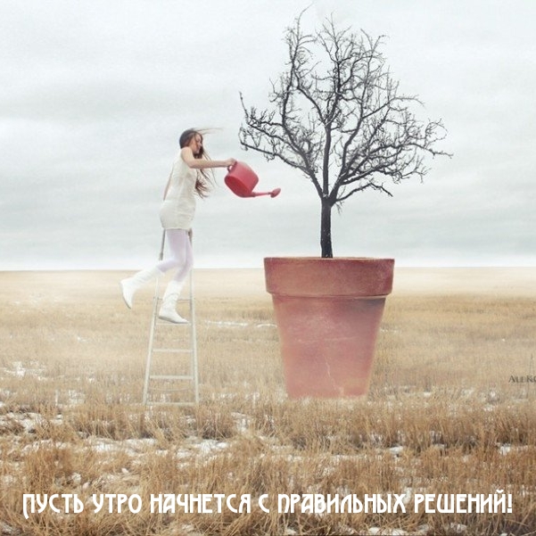 Пусть утро начнется с правильных решений!