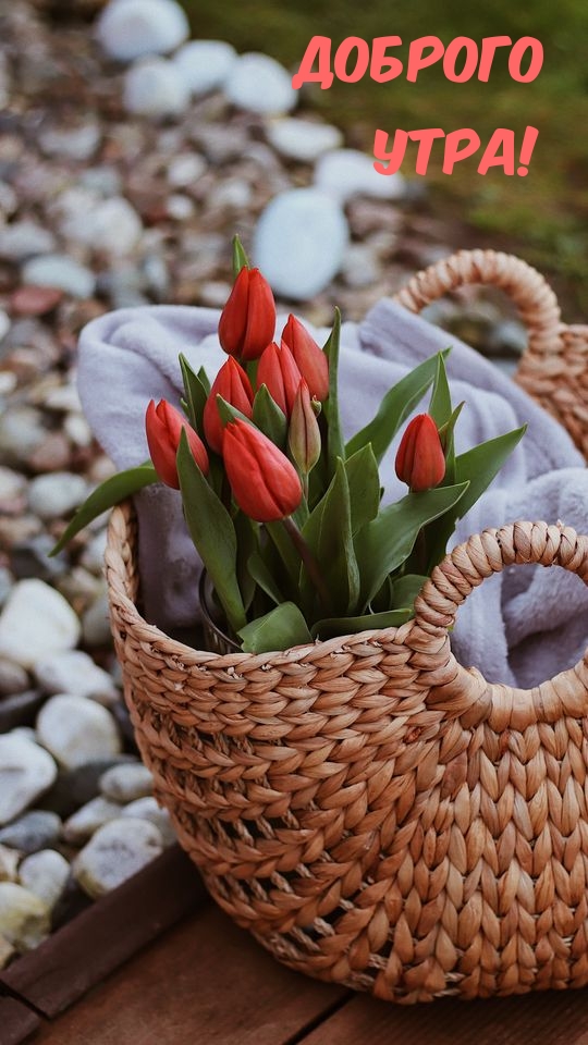 Доброго утра!