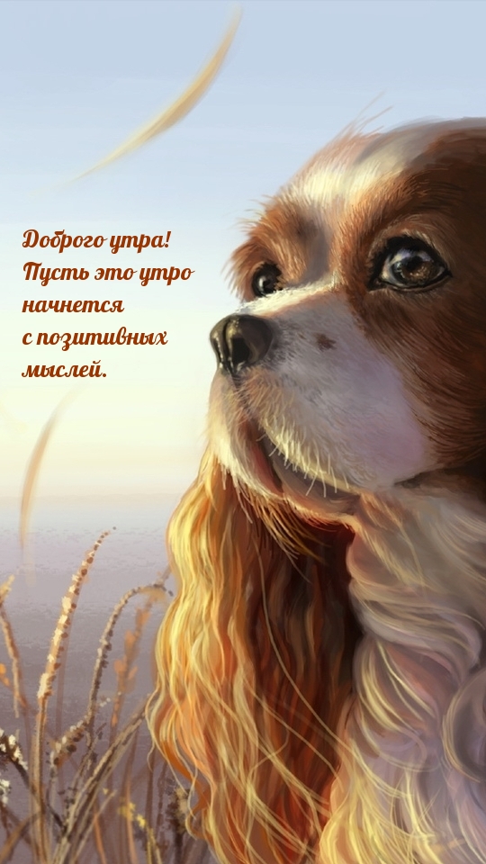 Пусть это утро начнется  с позитивных  мыслей