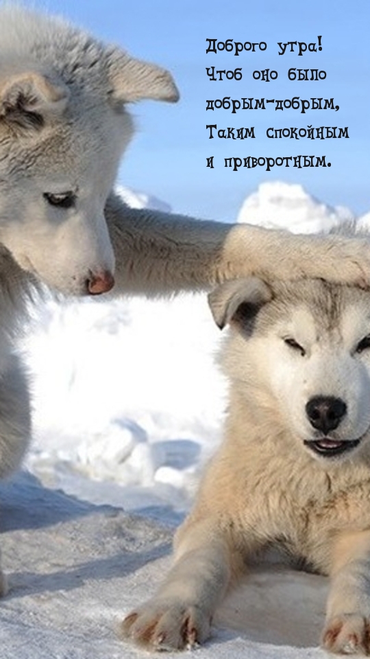 Чтоб утро было  добрым-добрым, спокойным