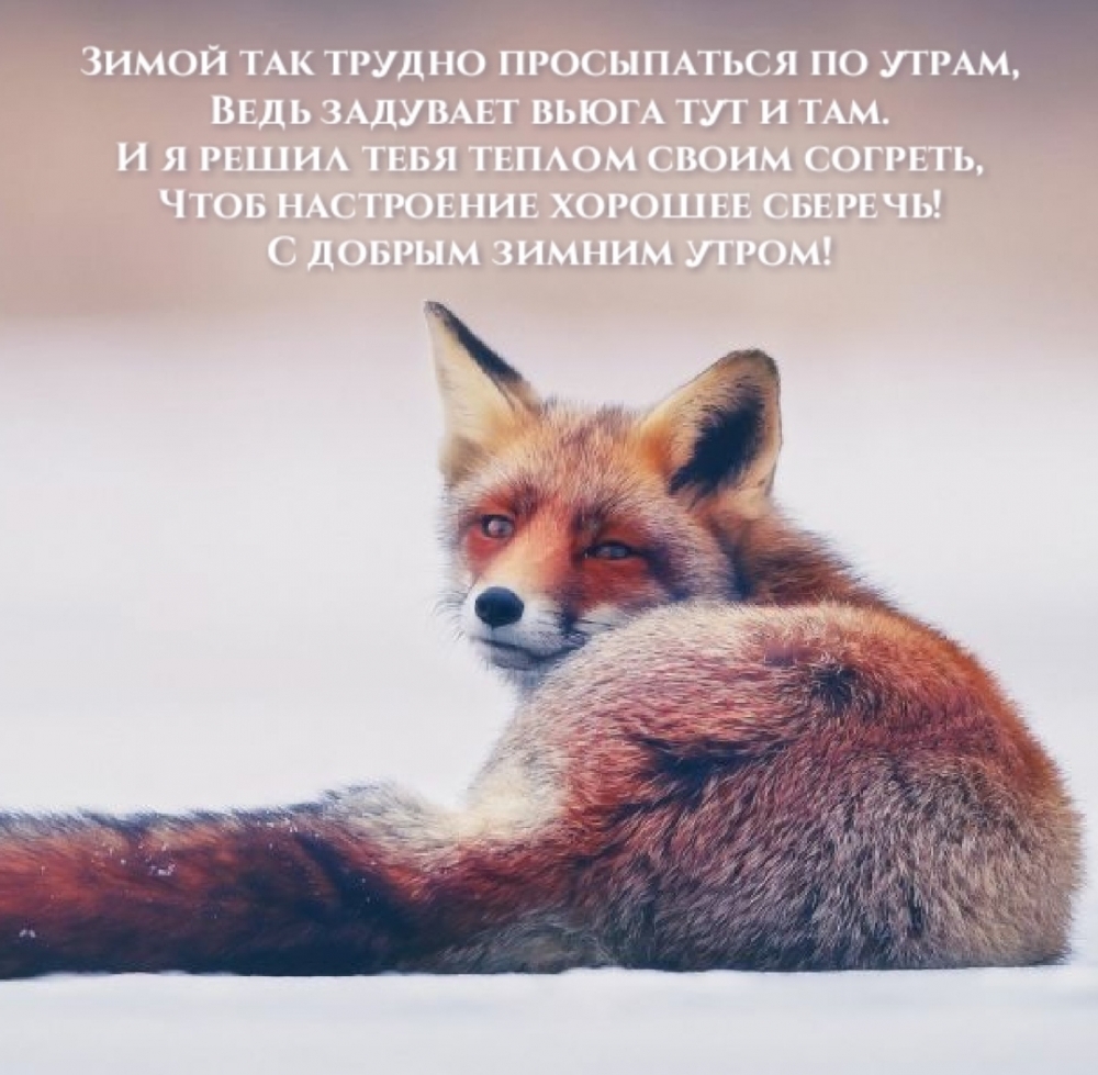 Зимой так трудно просыпаться по утрам