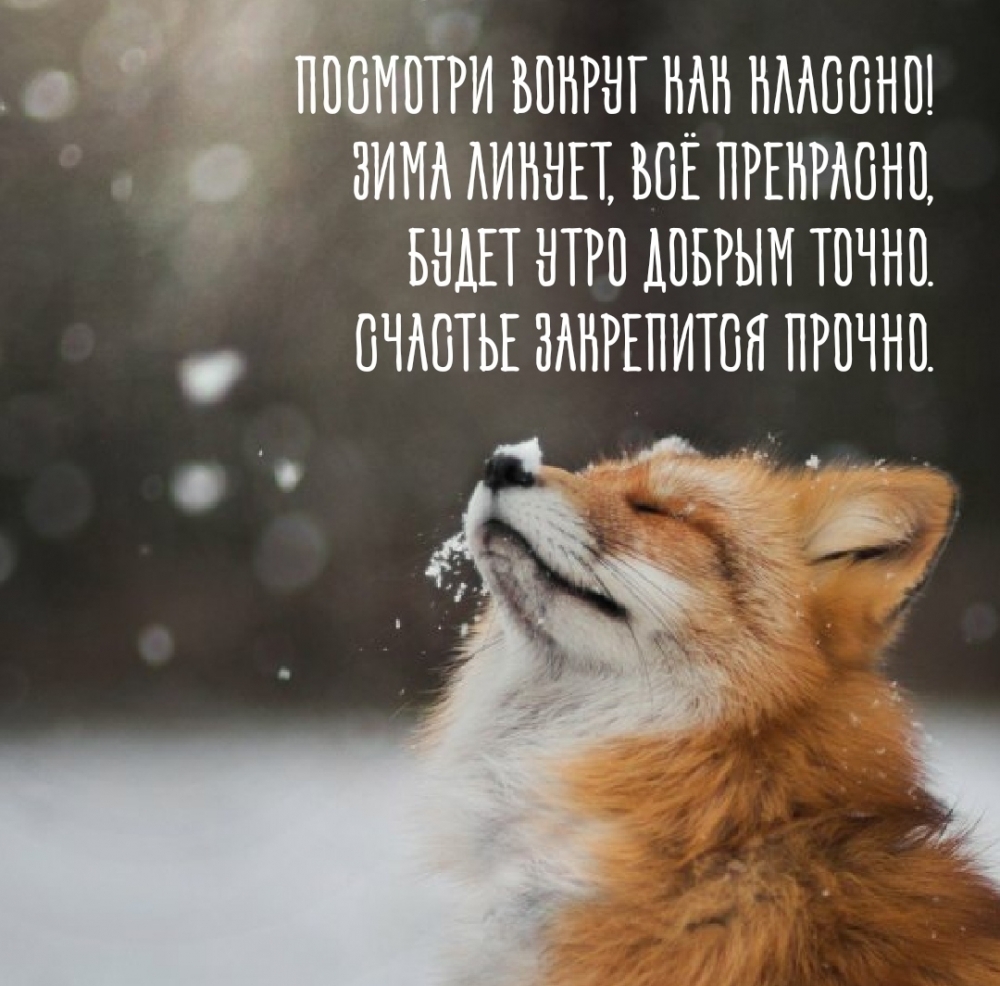 Зима ликует, всё прекрасно! Стихотворение