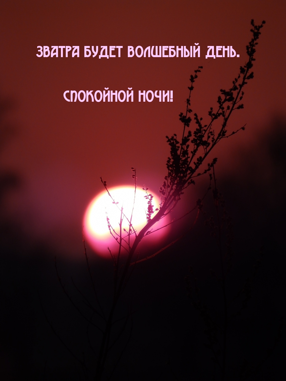 зватра будет волшебный день. спокойной ночи!