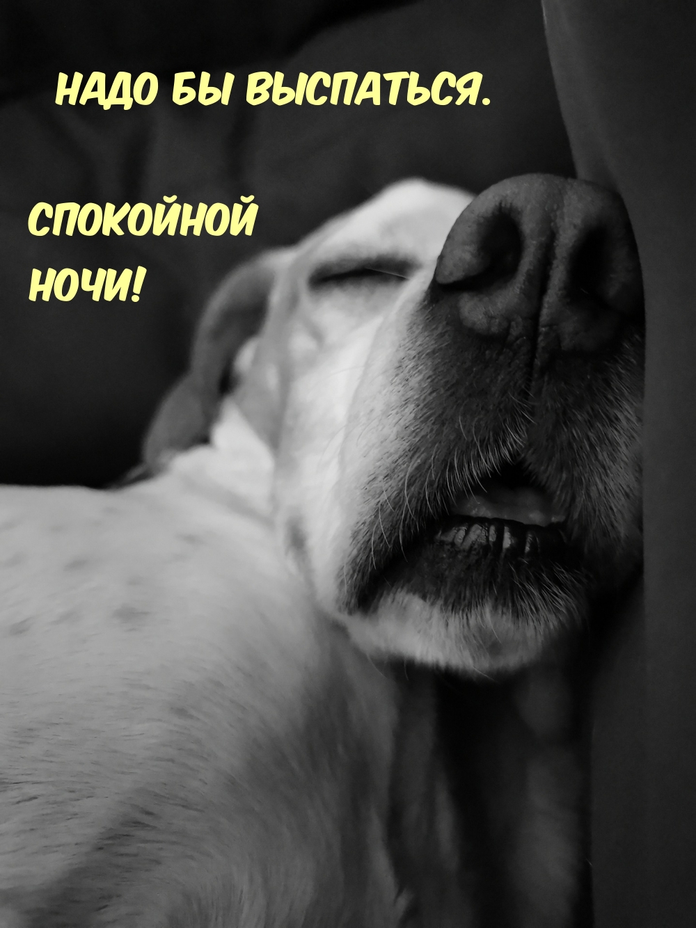 надо бы выспаться. спокойной ночи!