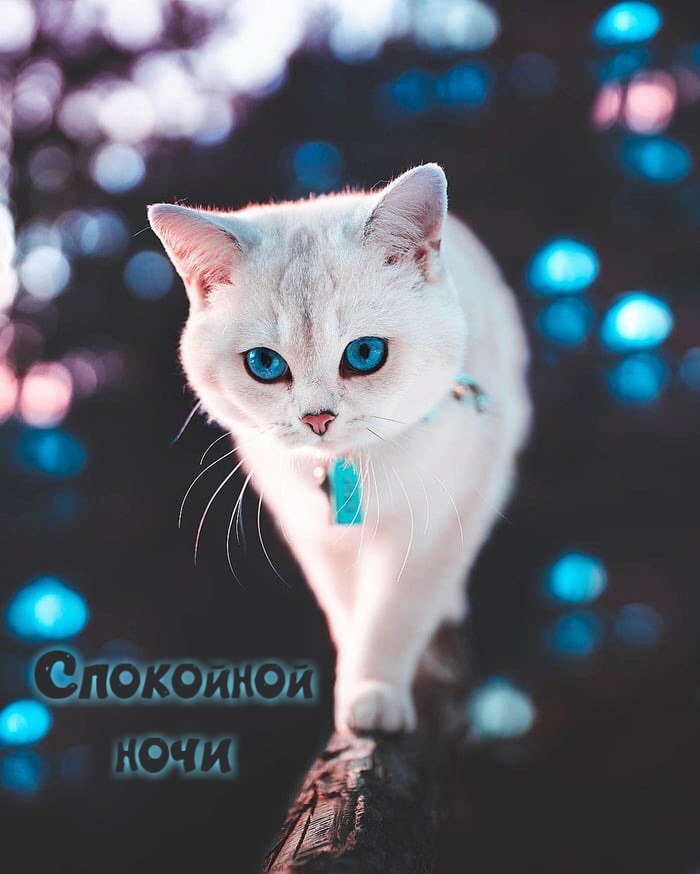 Спокойной ночи